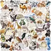 50 Pegatinas de Graffiti con Citas de Animales Medievales para Decoración DIY Cuaderno Teléfono Papelería Pegatinas de Recompensa Impermeables