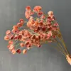 Fruta de Linterna Artificial, Cornejo, Flores Artificiales, Arreglos de Flores Secas, Decoraciones de Color Otoñal, Ramo de Boda de Lujo Ligero, Adornos de Arte Floral