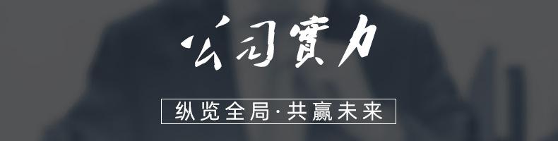 公司实力