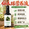 Solução Nutritiva para Cactos Fertilizante para Flores Fertilizante Especial para Cactos Rainha da Noite (Cacto) Fertilizante para Cactos Colunares Terra para Vasos para Plantas em Vasos