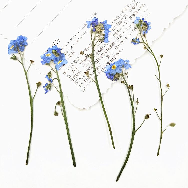 IMG20190623100635