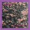 Marble Dream Paris Stone Puede Proporcionar Muestras y Procesar Diversas Capas Superficiales como Superficies de Panal y Revestimientos de Piso