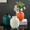 Jarrón de Plástico Escandinavo Creativo Simple Decoración para Sala de Estar en Casa Arreglo de Flores Secas Jarrón de Plástico Resistente a Caídas