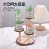 Estante de Almacenamiento de Anillos Anuales Estilo Tronco Madera Maciza Anillo de Árbol Multifuncional Labubu Hecho a Mano Estante de Exhibición Creativo para Perfume