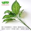 Plantas Artificiales, Macetas Verdes, Jardineras, Hojas Falsas Decorativas, Ramilletes Pequeños de 9 Ramas, Muros Verdes, Flores Falsas, Materiales de Jardinería