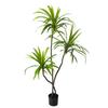Estilo Nórdico Simulação Planta Verde Dracenas Sala de Estar Falsas Biônicas Dracenas Árvore Orquídea Tiyang Enfeites de Chão Plantas Falsas em Vaso