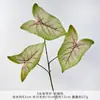 3 hojas artificiales de taro, plantas y flores verdes falsas, arreglos florales para fondo de boda, decoraciones para el hogar y el hotel, decoración de escaparates