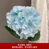 Pintura al óleo de flores de boda, una sola bola de nieve, piruleta, hortensia, salón de bodas