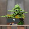 Novos Enfeites de Planta em Vaso Pinheiro de Boas-Vindas Estilo Chinês Decoração de Paisagem Zen para Entrada de Casa Sala de Estar Mesa de Escritório