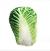 Fábrica Fruta Vegetal Hambúrguer Brinquedo de Pelúcia Gato Cachorro Voz Brinquedo de Animal de Estimação Pacote de Presente terno Brinquedo de Cachorro