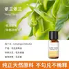 Vela de Aromaterapia para Plantas Transfronteriza Aceite Esencial Aceite Único Soluble en Aceite Jabón Artesanal DIY Jabón en Frío Bálsamo Vela Aceite Esencial de Aromaterapia