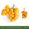 Super Realista Ponderado Simulada Fruta Maçã Falsa Legume e Fruta Adereços Limão Fruta Modelo Decoração