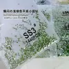 Diamantes Sueltos Ss4 Ab Rhinestones en Forma de Abanico King para Uñas, Rhinestones Super Brillantes en Forma de Abanico, Rhinestones Redondos de Vidrio Iridiscentes Aurora con Base Plana