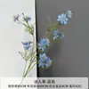 Flor de Simulação Grama Charmosa Grama de Semente Preta Crisântemo Persa Casamento Casamento Flor Falsa Flor Gesang Nórdica Casa Flor de Crisântemo Suave