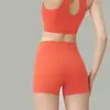 Sujetador Deportivo de una Pieza para Mujer, a Prueba de Impactos y Anti-Caída, Conjunto de Shorts de Yoga Estilo Chaleco de Absorción de Impactos de Alta Intensidad para Correr