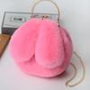 Fabricante Directo al Por Mayor Bolso con Orejas de Conejo Bolso Bandolera Bolso de Clip Cruzado Otoño e Invierno Bolso de Cadena