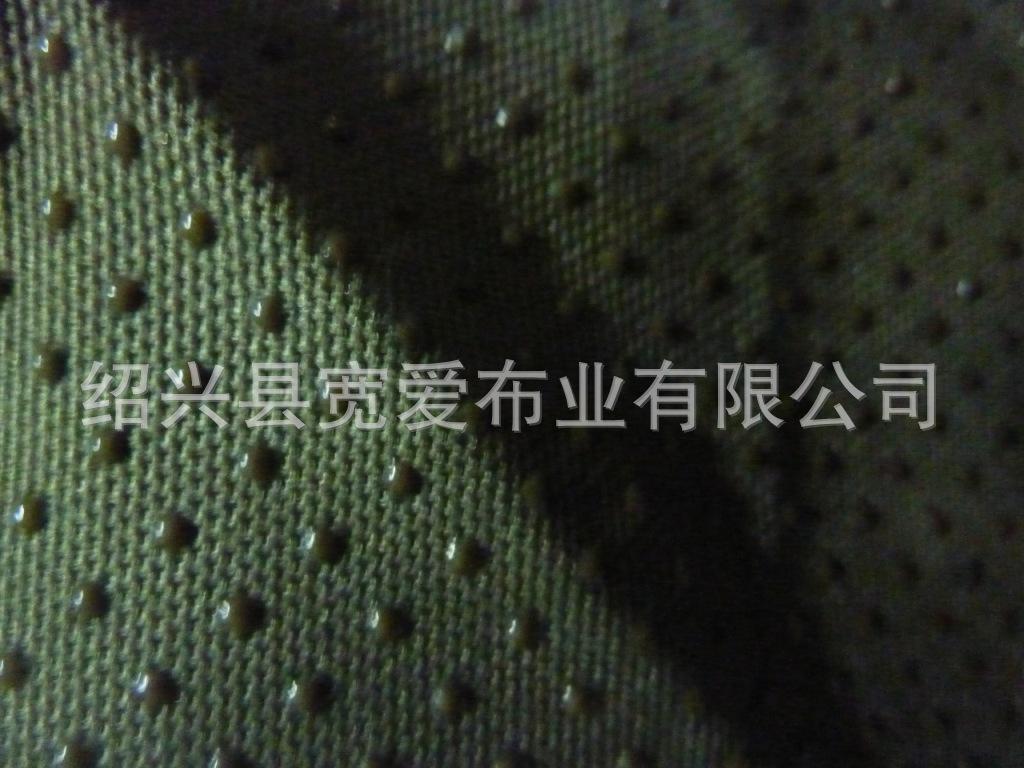 P1100133