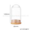 Botella de Vidrio de Borosilicato Alto con Tapa de Bambú, Botella de Vidrio de Fondo Redondo 65 mm, Figura de Caja Ciega Botella de los Deseos, Cubierta de Vidrio con Flor Preservada