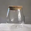 Florero de Vidrio Transparente Hidropónico Contenedor para Plantas Verdes Oficina Arreglo Floral Decoración de Escritorio Manualidades Suministro Transfronterizo
