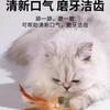 Brinquedo para Gato Bola de Erva-de-gato Pena Molar Auto-divertimento para aliviar o tédio Pedaços de Erva-de-gato Bola Varinha para Gato Fileira de Pelo de Gato Especial para Gato