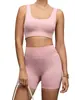 Conjunto Esportivo de Yoga Transfronteiriço Feminino Cintura Alta Modelador Respirável Costas com Tiras Cruzadas Listradas Sutiã e Shorts Conjunto de Duas Peças