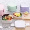 Fiambrera de Paja de Trigo Estilo Japonés Fiambrera Fiambrera para Frutas y Verduras Fitness Fiambrera con Forma de Galleta Simple