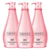 Suministro Directo de Fábrica Champú Acondicionador Gel de Ducha con Fragancia a Coco Control de Grasa Anticaspa Procesamiento OEM Personalización