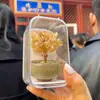 Árbol de la Fortuna de Citrino Adorno en Maceta Lugar Escénico del Templo de Beijing Árbol de la Fortuna de Cristal Natural Cultural y Creativo Regalo Atractor de Riqueza