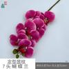 Padrão de modelagem 7 cabeça Phalaenopsis cola sentir Phalaenopsis estúdio fotográfico adereços flor de simulação janela bonita Chen
