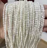 Jingdian Jewelry Contas Soltas Naturais de Concha de Formato Irregular Coração Trevo de Quatro Folhas Link de Bambu Redondo Acessórios para Pulseira de Concha
