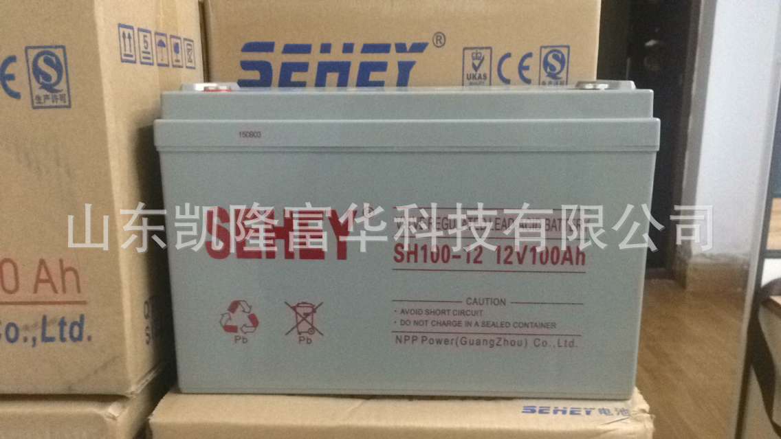 SH100-12AH
