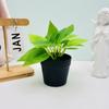 Medio de Simulación Copa Internacional Planta Verde Pequeño Bonsái Balcón Decoración de Dormitorio Bonsái de Plástico Oficina Mini Plantas Adornos