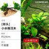 Musgo Paisajismo Acuario Madera Hundida Agua Banyan Planta Viva Sin Suelo Perezoso Hierba Acuática Real Banyan Hoja Grande Madera Hundida Pastizal Cabello Lacio