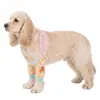 Rodilleras para Perro Mascotas Lindas Dulces Rodilleras de Circo Banda Elástica Protección Suave de Articulaciones Ropa para Perros Mayoreo