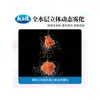 Cebo de Pescado Sabor Durazno del Rey Dragón: Cebo con Aroma a Fruta para la Pesca Deportiva de Carpa Crucian, Amur y Peces Negros