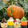 Bq050 Comercio Exterior Amazon Día de Acción de Gracias Calabaza Hoja de Arce Festival Taza de Helado Postre Bebida Fría Caja Tapa Cuchara