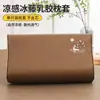 Funda de almohada de seda helada de verano Funda de almohada de látex 30x50 cm Esterilla refrigerante Ratán Núcleo de almohada de espuma viscoelástica para niños Funda protectora