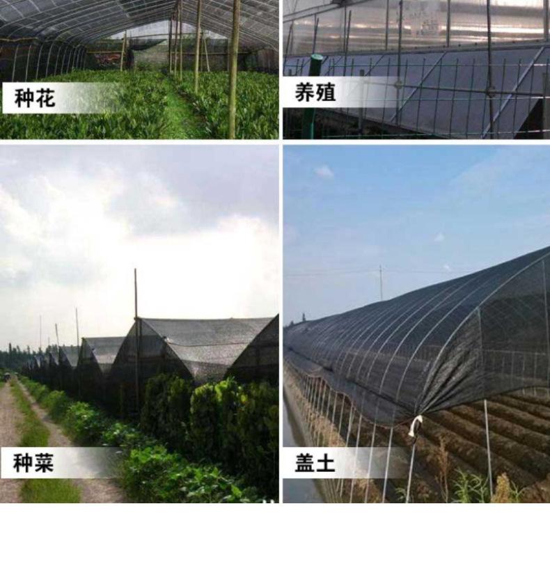 详情_10