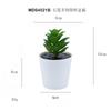 Set de Bonsái de Suculentas de Plástico Mini en Stock, Suculenta Artificial Creativa de Amazon, Flor Artificial Transfronteriza Planta en Maceta Pequeña
