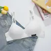 Roupa íntima do Sudeste Asiático Transfronteiriça de Algodão para Estudante Sem Fio para Menina Parque de Diversões Sutiã Fino Sutiã Simples com Efeito Push-Up