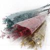 Flor eterna para amantes de la hierba, flores secas frescas para el día de San Valentín, flores eternas secas, material para flores, accesorios para fotografía de flores a juego