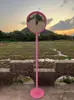Espejo Fotográfico de Celebridad de Internet, Espejo Reflectante Cóncavo-Convexo, Decoración para Actividades al Aire Libre, Espejo de Gran Ángulo, Toma de Fotos en Atracciones Turísticas, Espejo Rosa Divertido