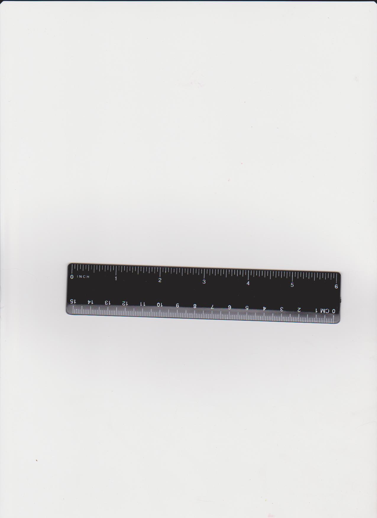 照片 19899