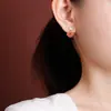 Brincos de Prata Yilu Água Natural Vermelha Prata de Lei S925 Jade Hetian Jade Água Clara Padrão de Dente Ruyi Xiangyun Estilo Chinês Novo