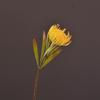 Atacado de fábrica em estoque flor artificial flor falsa crisântemo garra de caranguejo flor imperial Vento ins nórdico decoração de casa fotografia transfronteiriço