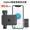 Dispositivo Inteligente Zigbee de Irrigação de Canal Único Controlador de Irrigação por Tempo para Plantas em Vasos de Jardinagem Dispositivo Automático de Rega de Flores