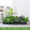 [Serie E100] Paisajismo de Plantas Verdes Macetero Combinado Maceta Decoración Planta Artificial Decoración de Paisaje Interior y Exterior