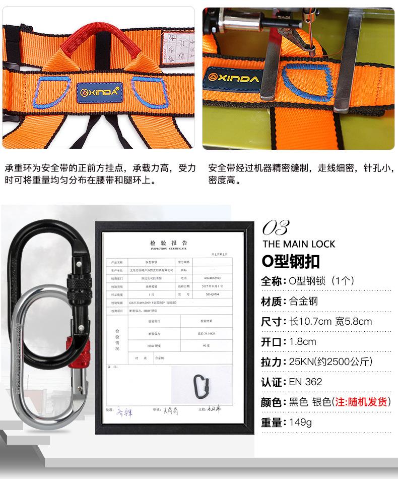 2345_image_file_copy_10.jpg