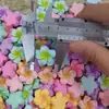 Nuevo Plumeria Colorido Pegamento en Crema DIY Accesorios para Funda de Teléfono Agujero para Pasador Hebilla de Zapato Imán para Nevera Decoración Venta al por Mayor