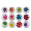 Decoración de uñas con 12 flores secas de colores, joyería para uñas con flores secas, fototerapia, suministros para decoración de uñas, 12 flores diferentes